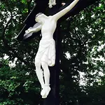 Vrijheid Van *