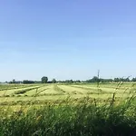 Vrijheid Van