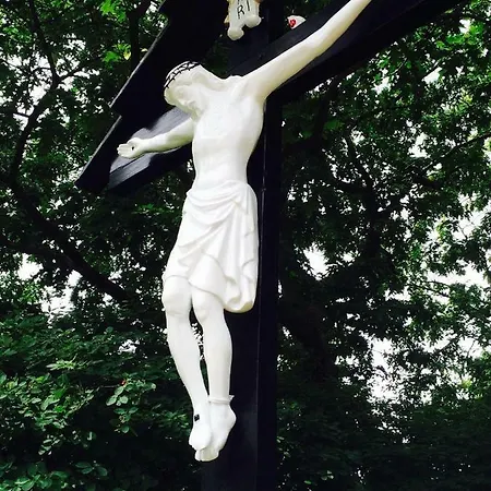 Vrijheid Van *