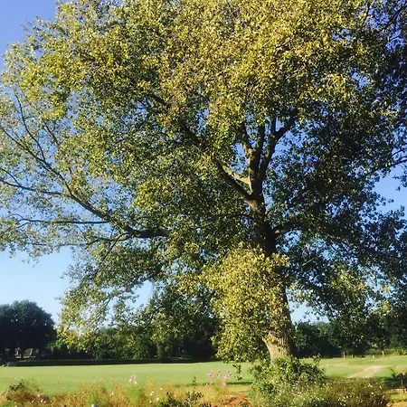 Frühstückspension Vrijheid Van