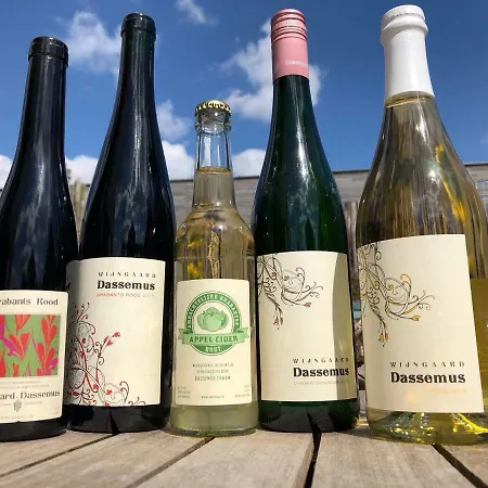 Bed & Breakfast Vrijheid Van