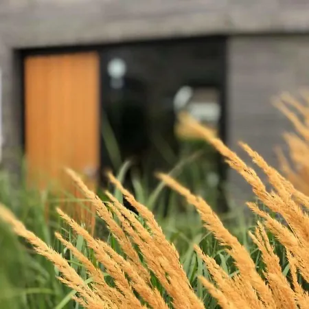 Bed & Breakfast Vrijheid Van Gilze