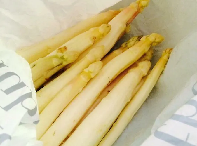 Vrijheid Van Bed & Breakfast *