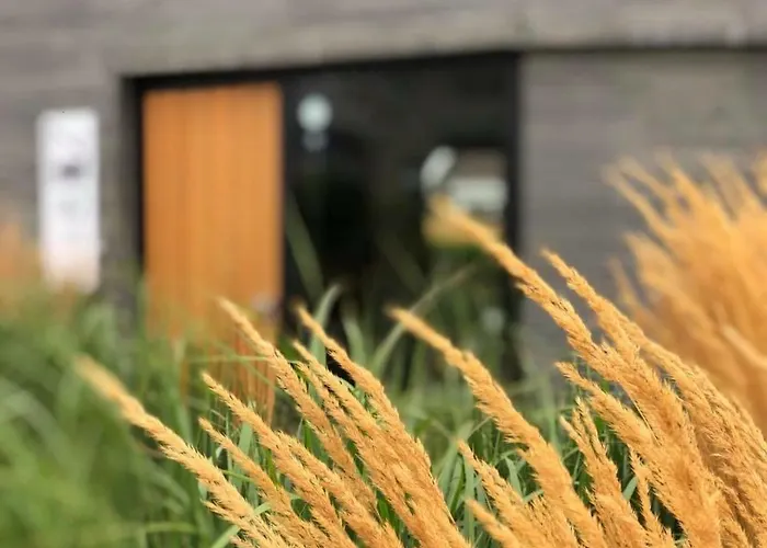 Frühstückspension Vrijheid Van Gilze