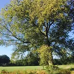 Bed & Breakfast Vrijheid Van
