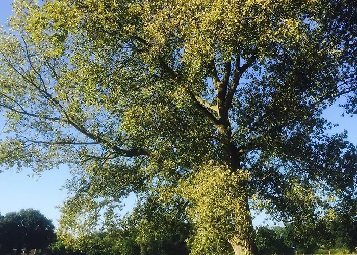 Alojamento de Acomodação e Pequeno-almoço Vrijheid Van