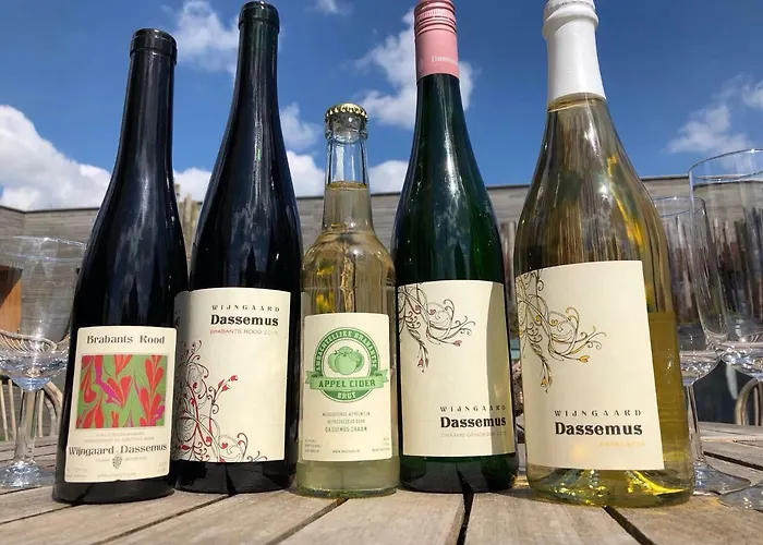 住宿加早餐酒店 Vrijheid Van