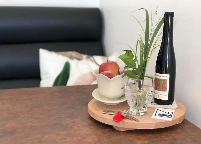 住宿加早餐酒店 Vrijheid Van *